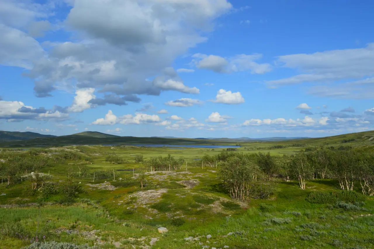 Tannheim