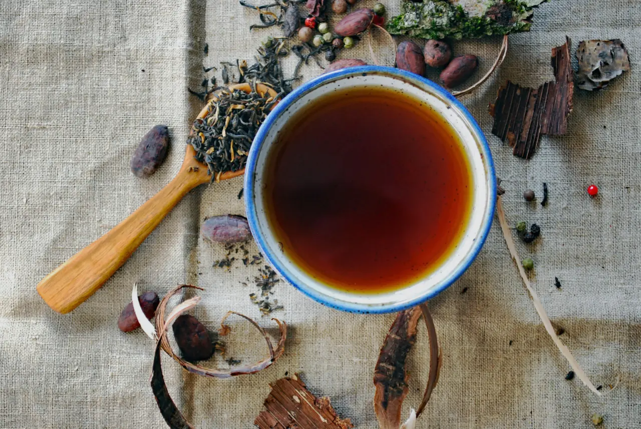 Tasse Kräutertee zwischen getrockneten Kräutern und Gewürzen