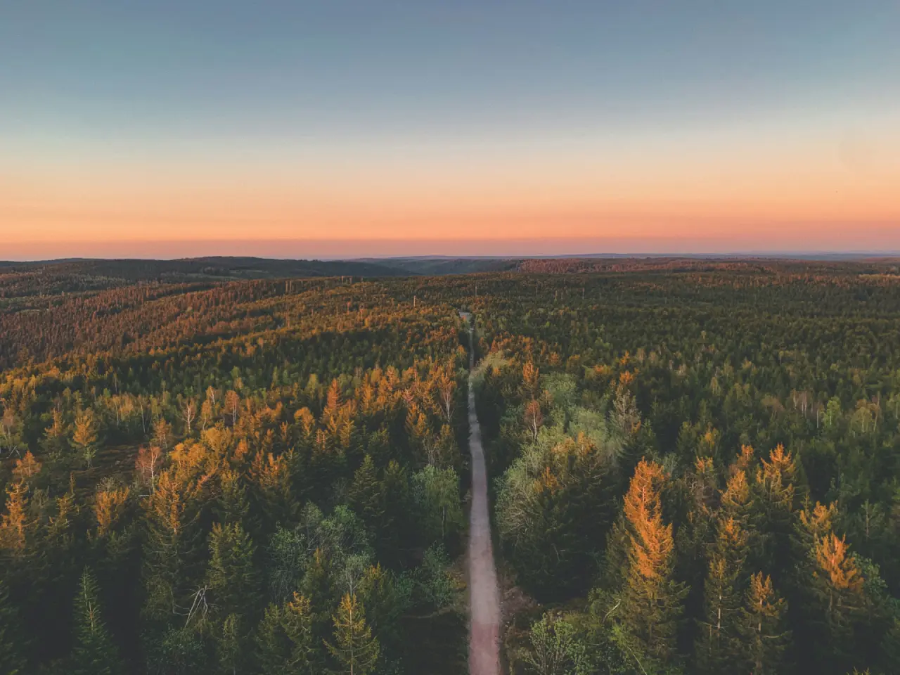 Weite Waldlandschaft im Abendlicht aus der Vogelperspektive