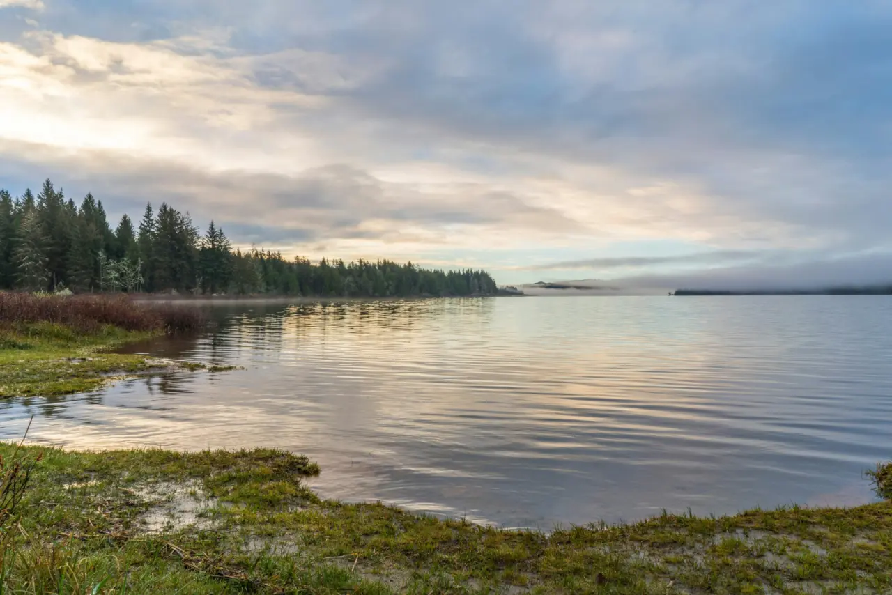 Stiller See mit Schilfufer im Morgenlicht