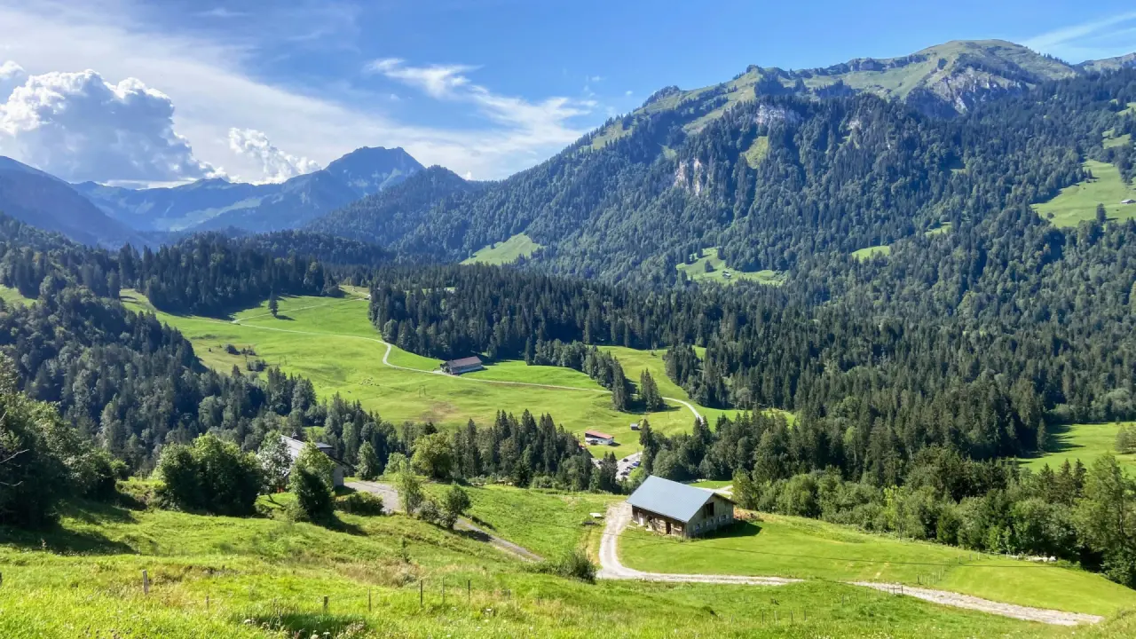 Grüne Allgäuer Hügel mit Almhütte vor den Bergen