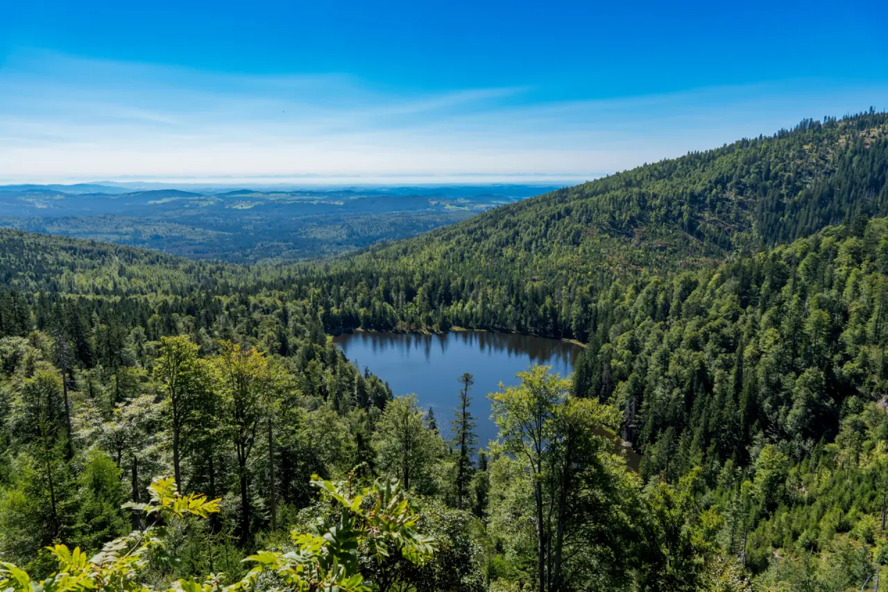 Bayerischer Wald