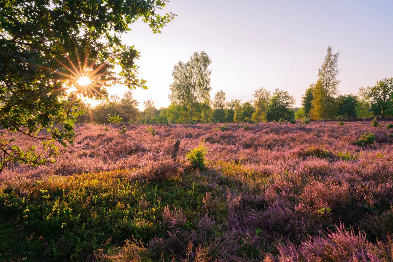 Wellnesshotels mit Day Spa in der Lüneburger Heide