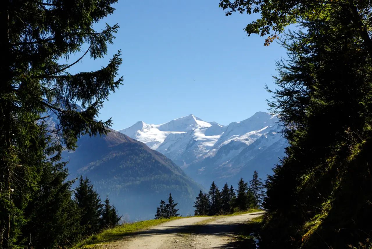 Wellnesshotels mit Hund im Pinzgau