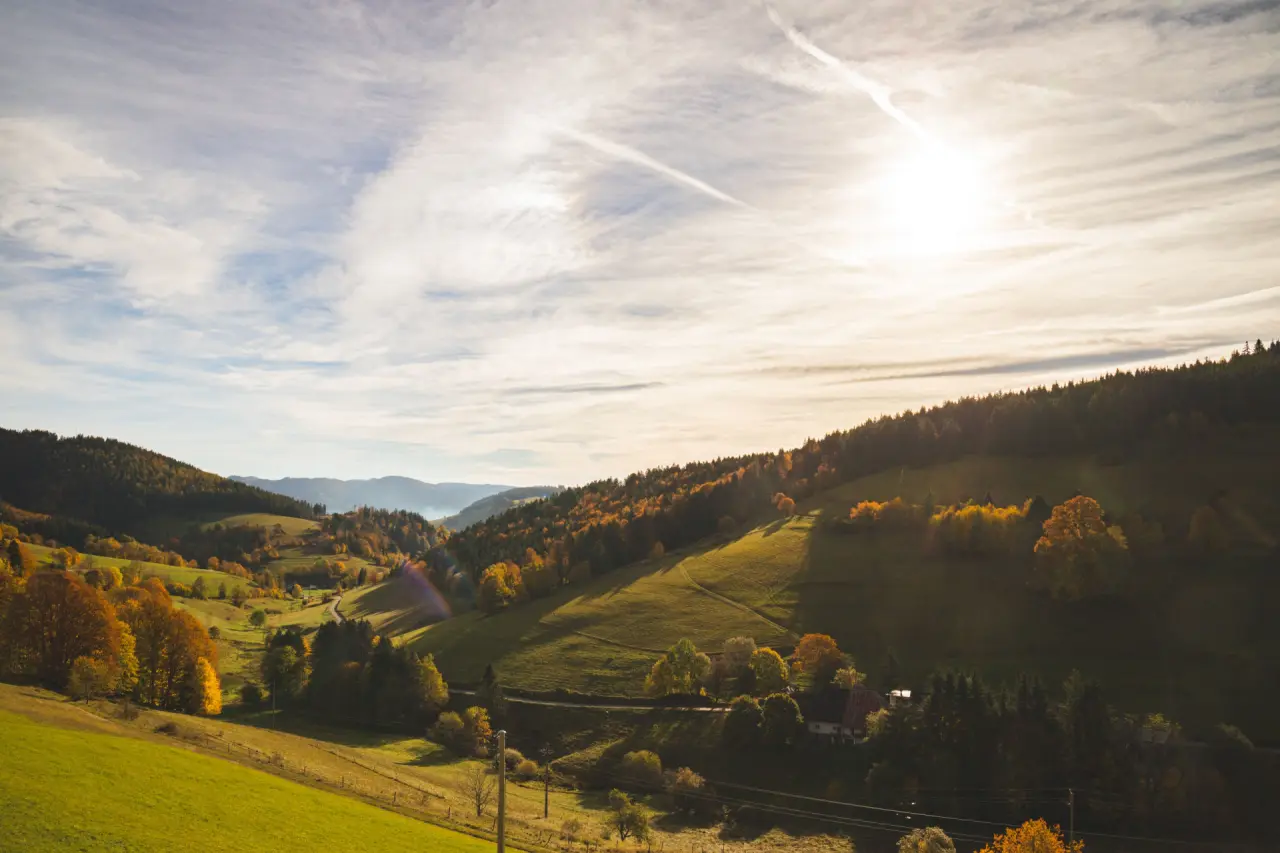 Schwarzwald