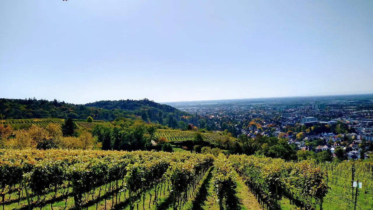 Wellnesshotels in Hessen