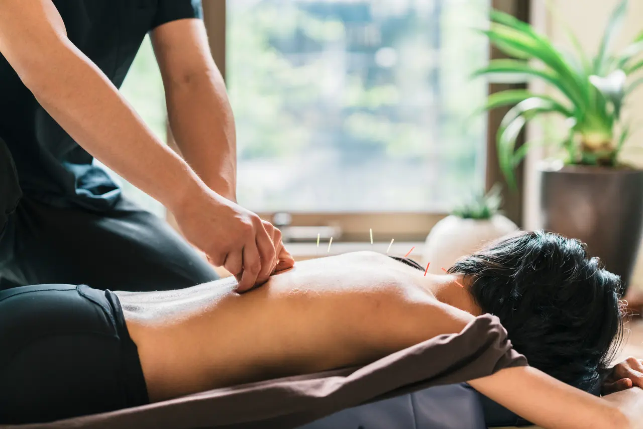 TCM Wellness