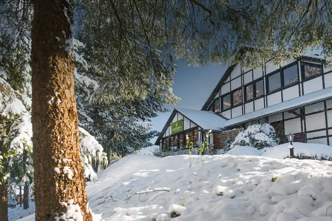 Sporthotel Grafenwald in Daun – Hotelgebäude im Winter mit verschneiten Bäumen | Wellnesshotel Eifel