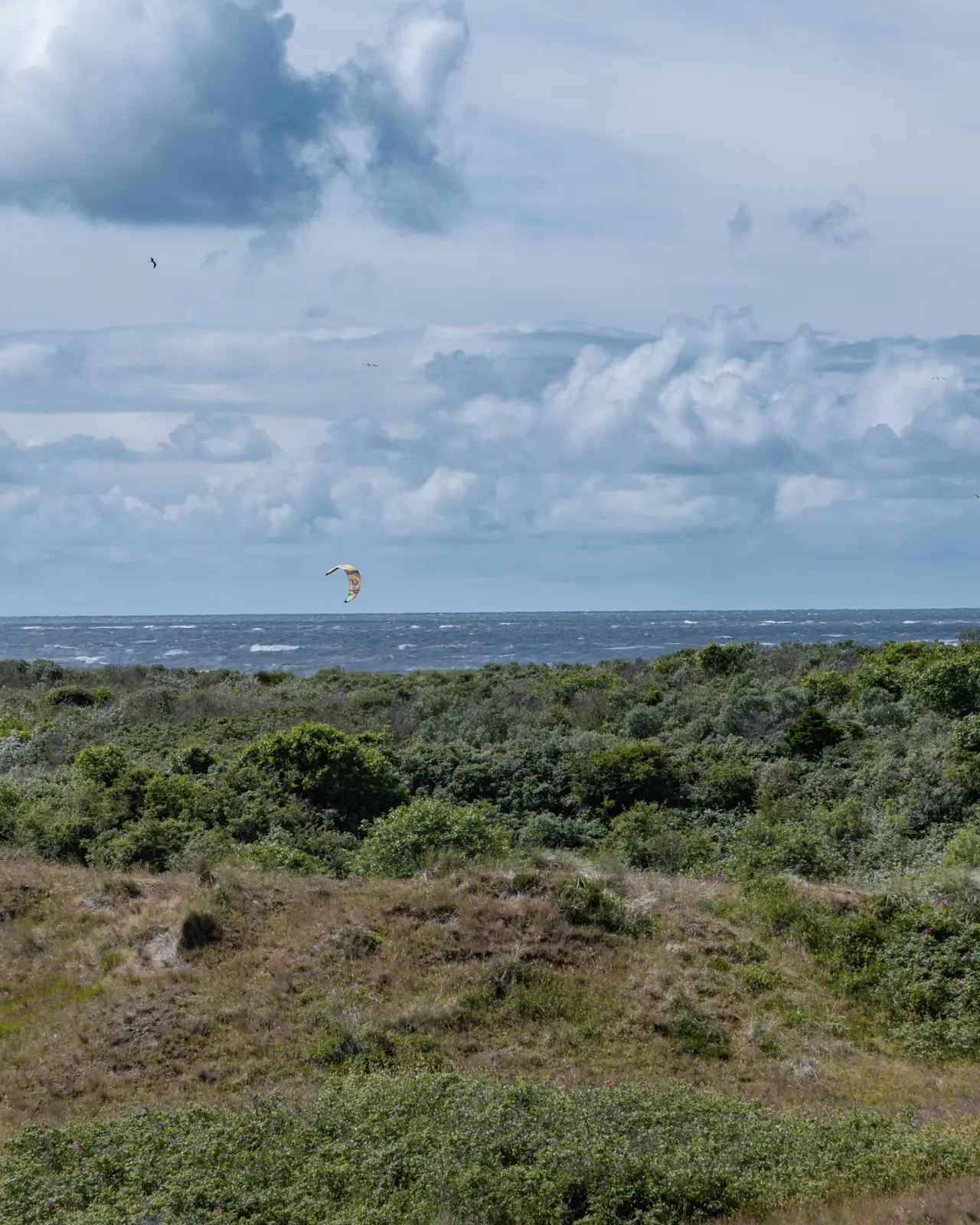 Logierhus Langeoog in Langeoog – Dünenlandschaft mit Nordsee und Kitesurfer | Wellnesshotel Ostfriesland