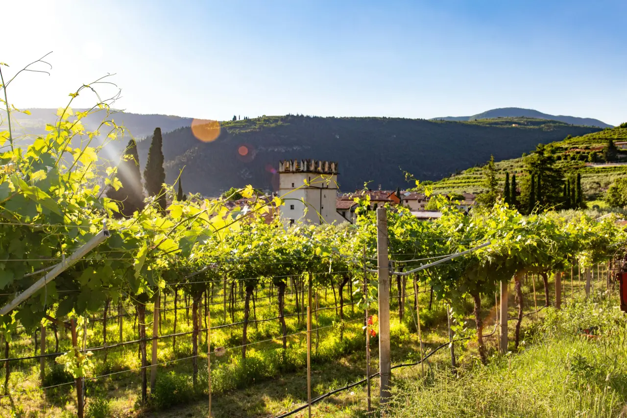 Byblos Art Hotel Villa Amistà in Corrubbio – Malerische Weinberge mit Blick auf die Umgebung | Wellnesshotel Veneto