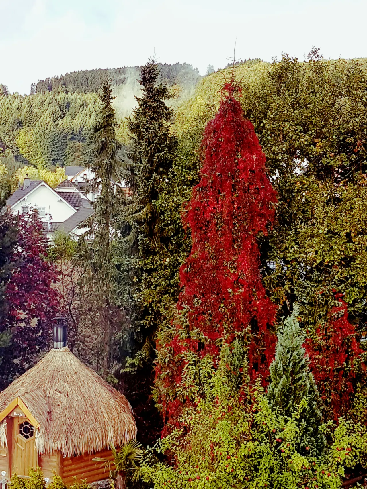 Landhotel Grimmeblick in Winterberg – Gemütliche Sauna-Hütte im herbstlichen Hotelgarten | Wellnesshotel Sauerland