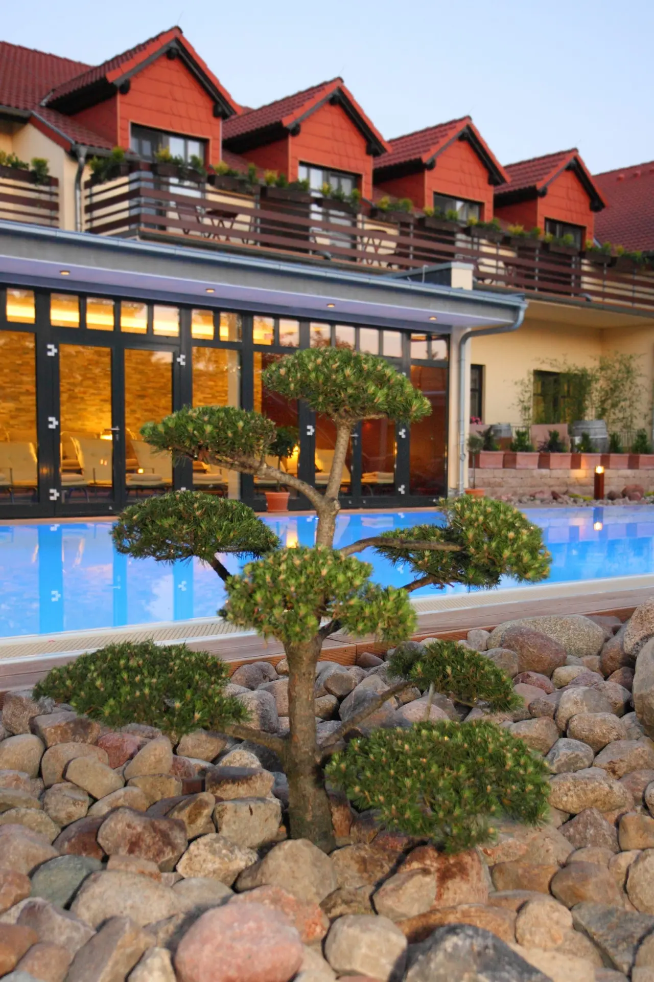 Ringhotel "Zum Stein" Wörlitz in Oranienbaum Wörlitz – Bonsai-Baum am Poolbereich | Wellnesshotel Sachsen-Anhalt