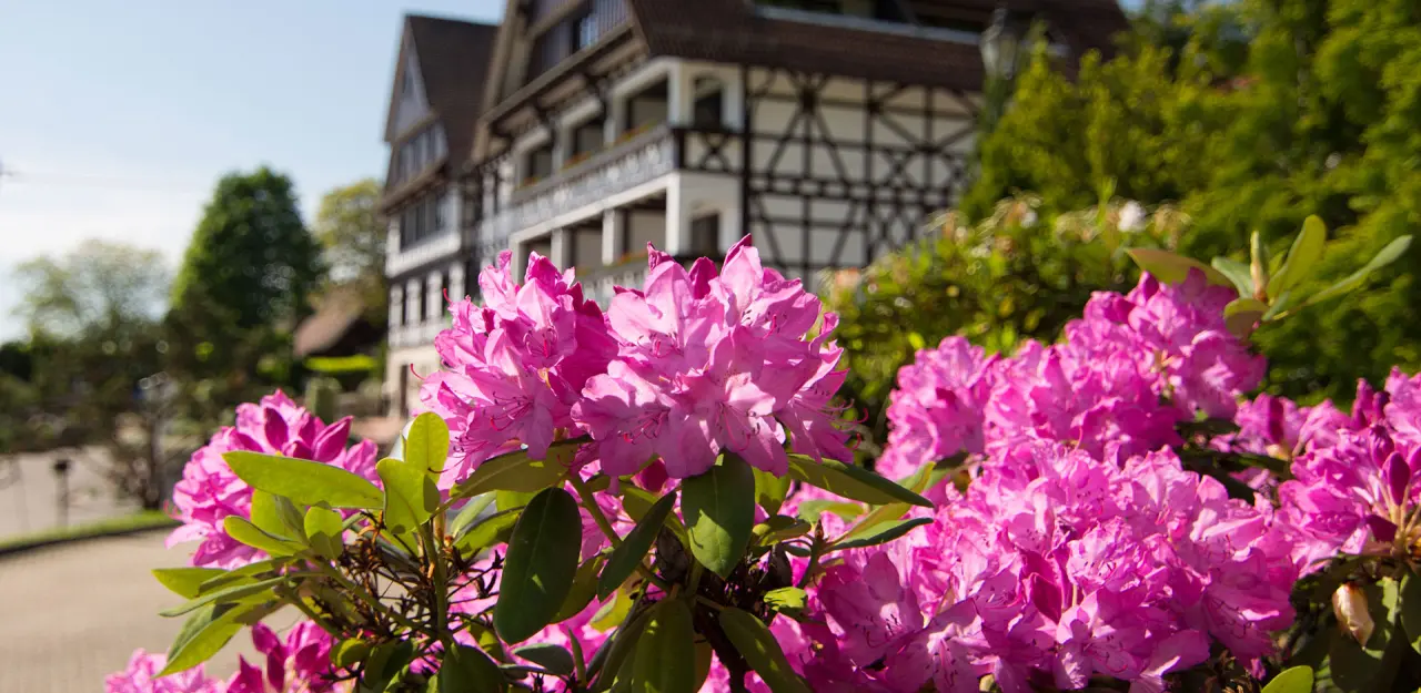 Relaxhotel Tannenhof