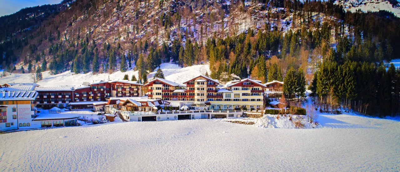 Hotel Alpina