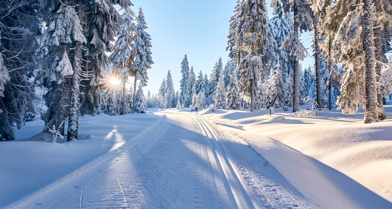 Glashotel Zwiesel in Zwiesel – Winterlandschaft mit Loipe und verschneiten Bäumen | Wellnesshotel Bayerischer Wald