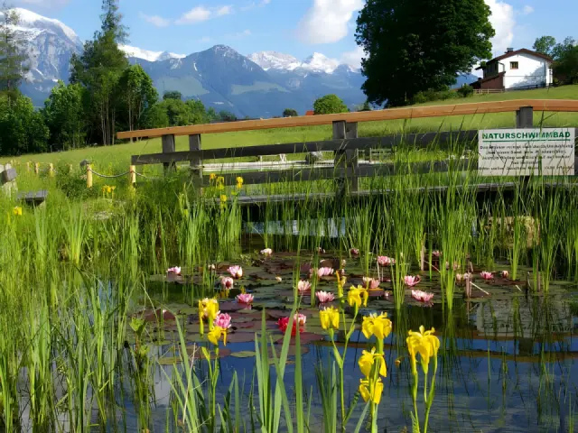 Naturhotel Reissenlehen in Bischofswiesen – Naturschwimmbad mit Seerosen und Alpenpanorama | Wellnesshotel Berchtesgaden
