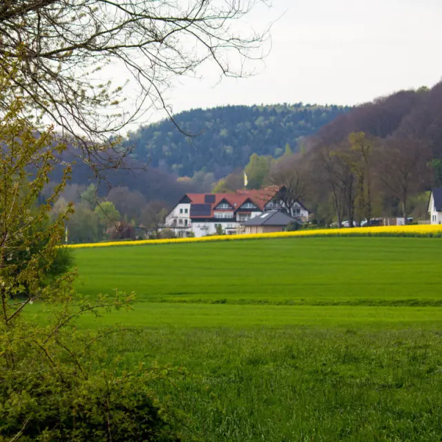 Ringhotel Teutoburger Wald in Tecklenburg – Hotelgebäude in grüner Landschaft | Wellnesshotel Teutoburger Wald