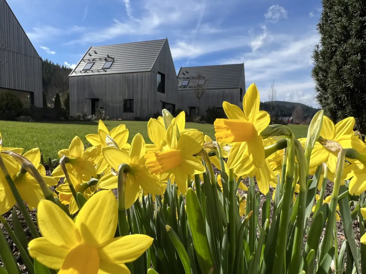Hotel Engel Obertal - Wellness und Genuss Resort