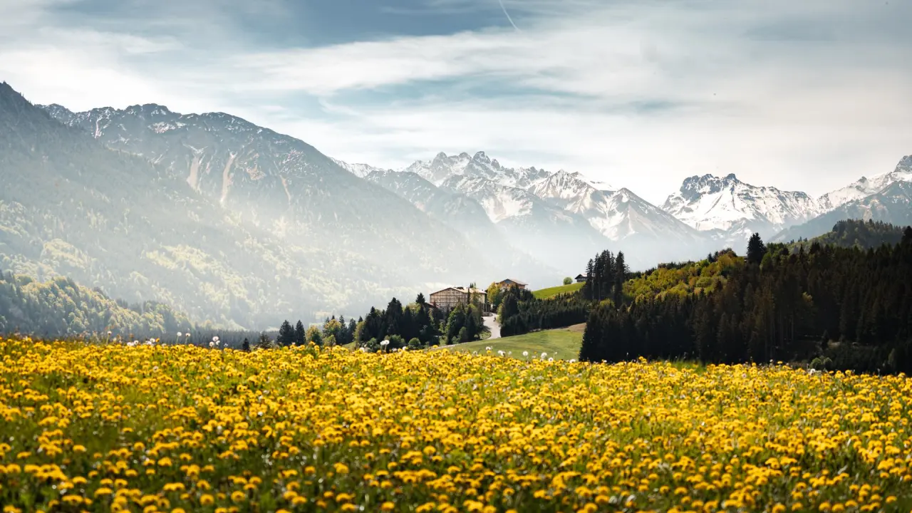 Allgäu Tanneck in Fischen im Allgäu – Hotel in blühender Berglandschaft | Wellnesshotel Allgäu