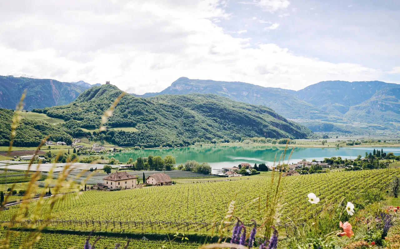 Hotel Tirolensis in Marling – Malerische Landschaft mit See, Weinbergen und Bergen | Wellnesshotel Südtirol