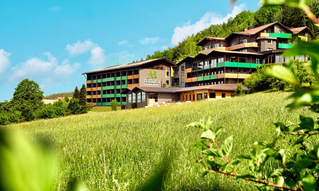 natura Hotel Bodenmais in Bodenmais – Außenansicht im Grünen mit Bergpanorama | Wellnesshotel Bayerischer Wald