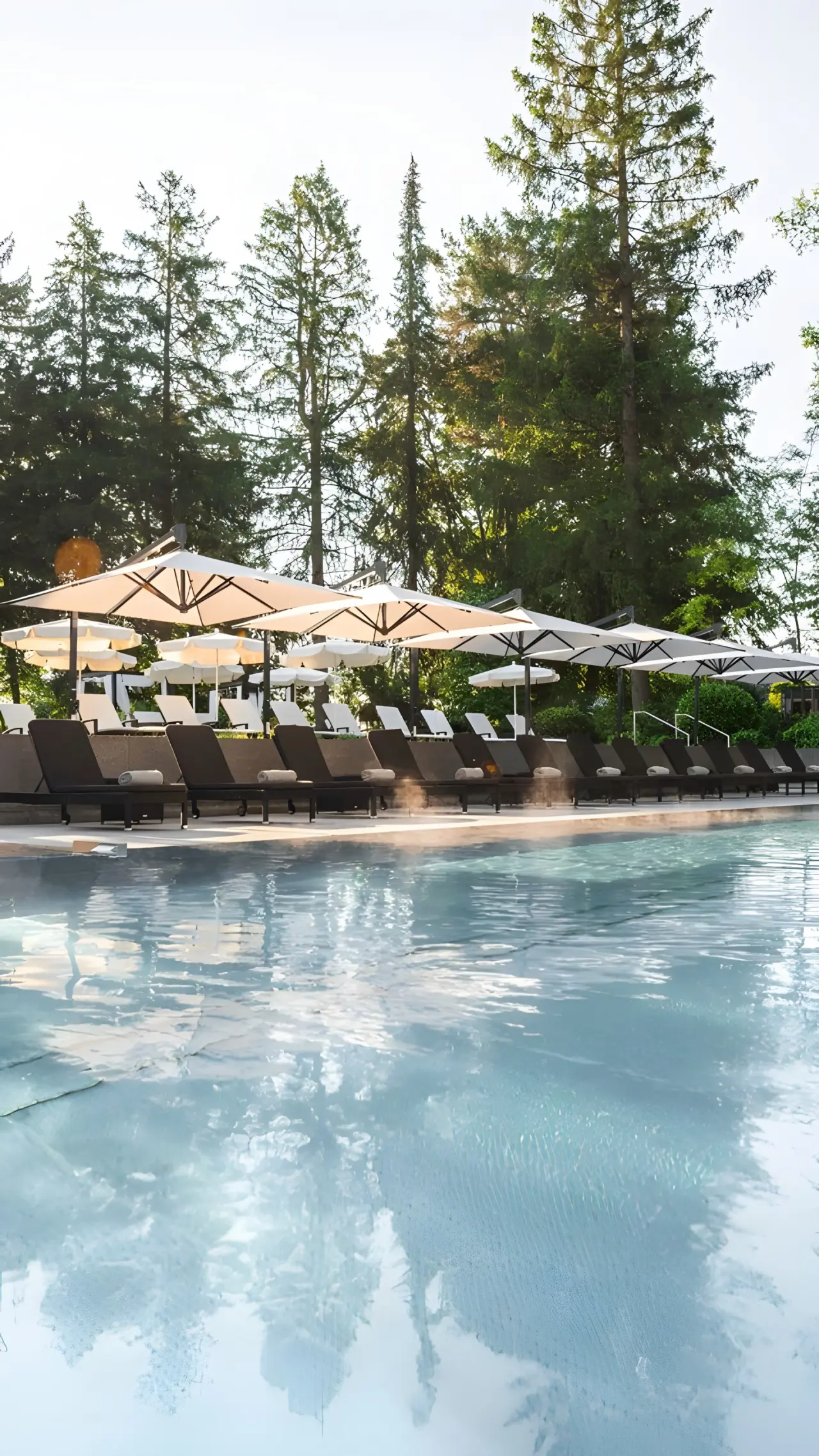 Steigenberger Sonnenhof in Bad Wörishofen – Außenpool mit Liegen und Bäumen im Grünen | Wellnesshotel Allgäu