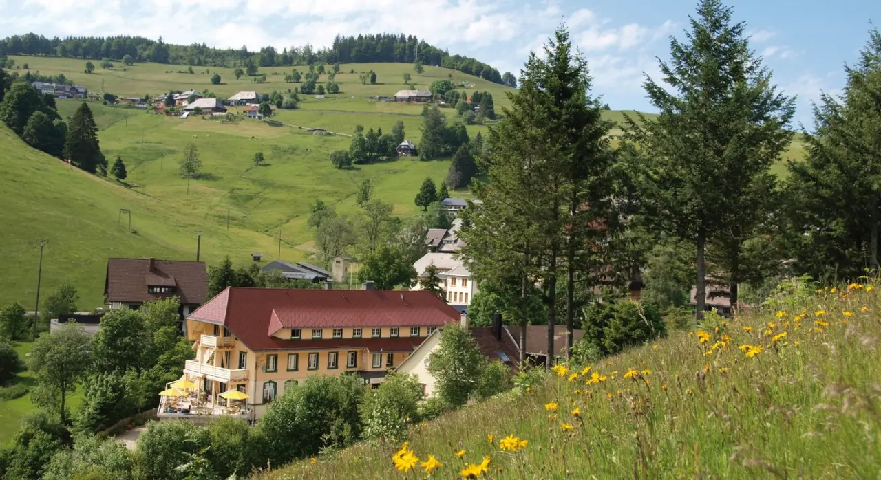 Naturparkhotel Grüner Baum