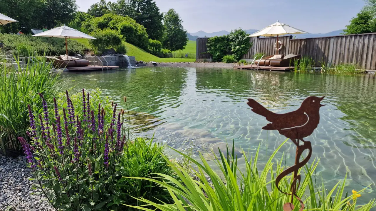 Dein Engel in Oberstaufen – Naturbadeteich mit Liegeflächen und üppiger Bepflanzung | Wellnesshotel Allgäu