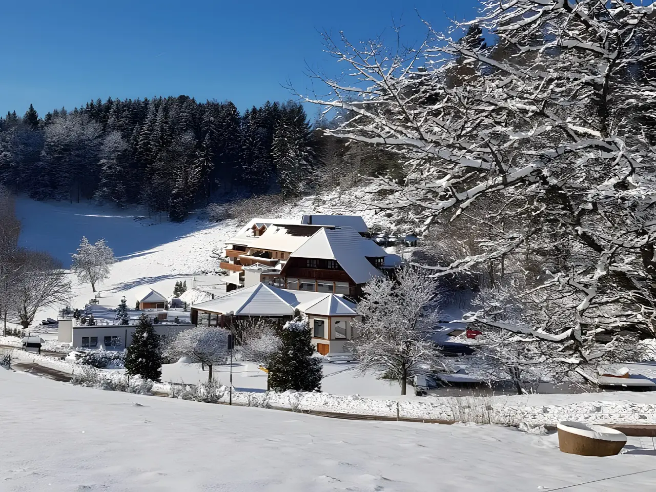 Hotel Käppelehof