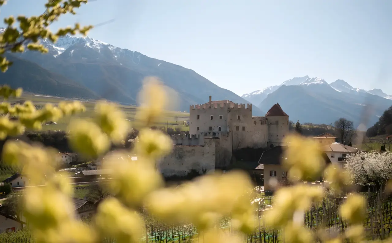 Hotel das Paradies in Schlanders – Historische Burg vor Alpenpanorama und Weinbergen | Wellnesshotel Vinschgau