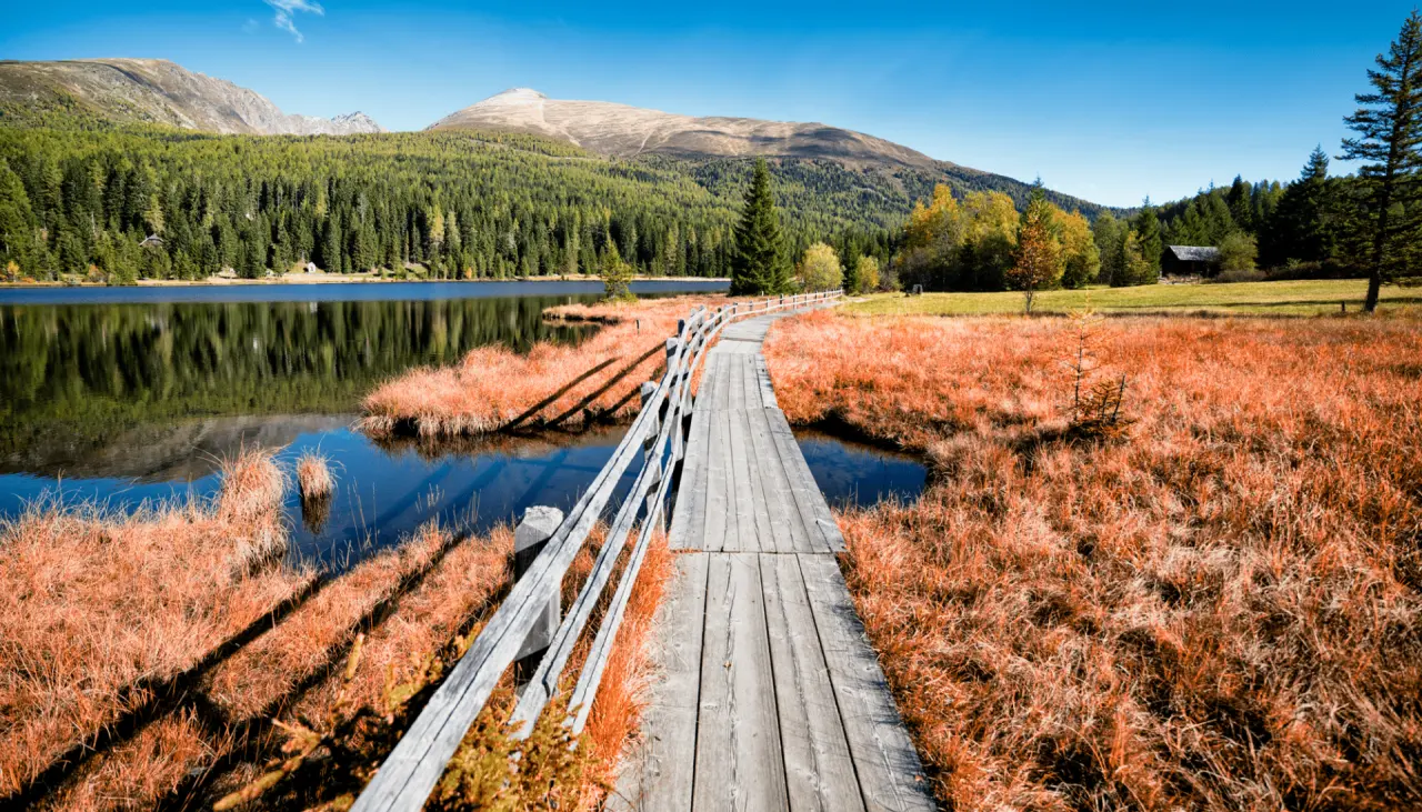 ALMGUT Mountain Wellness Hotel