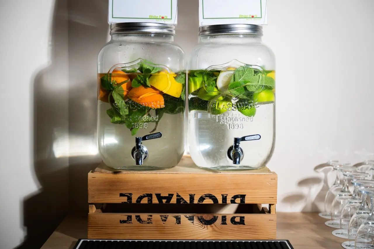 Rhön Park Hotel in Hausen-Roth – Erfrischendes Infused Water mit Zitrone und Minze | Wellnesshotel Rhön