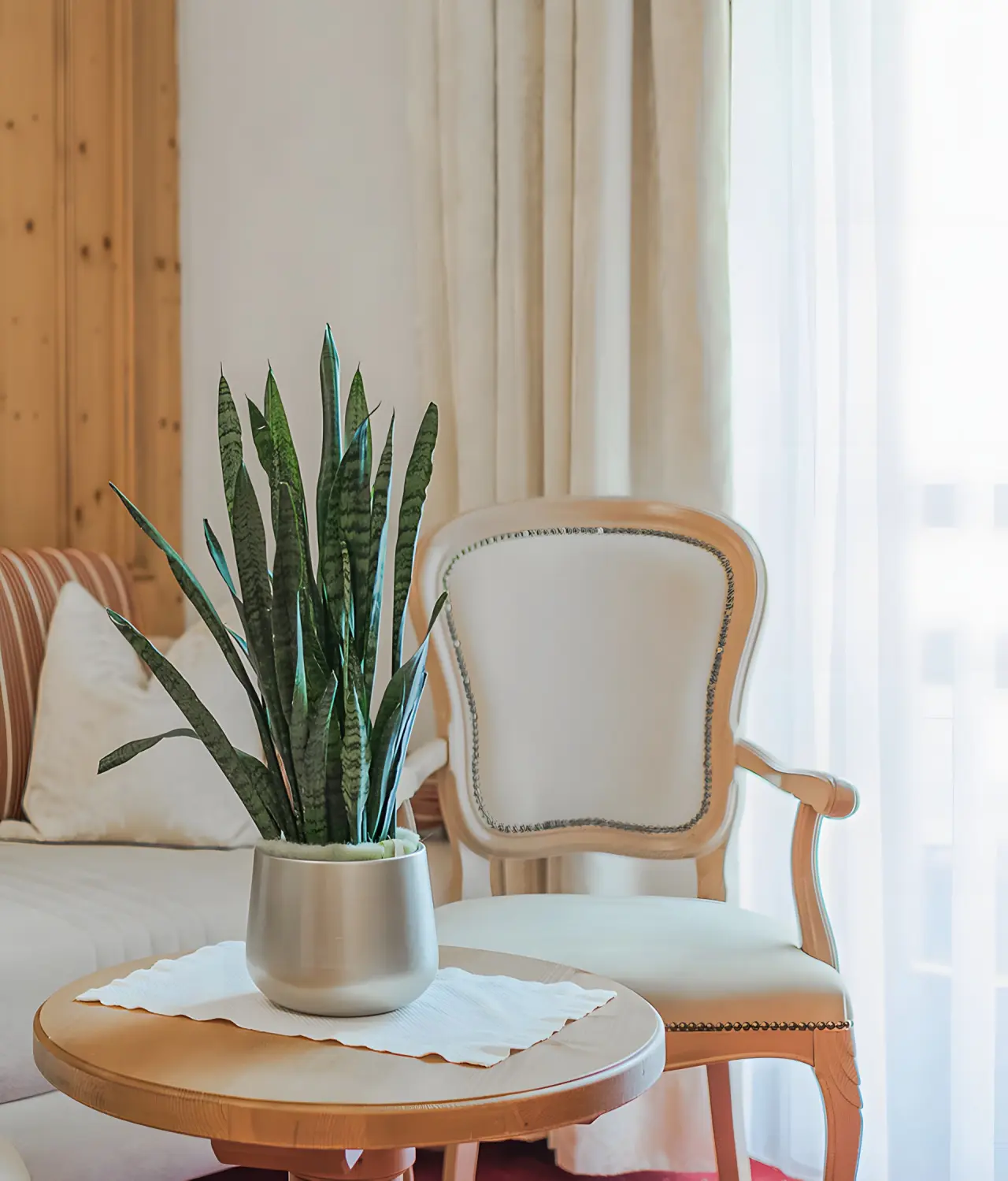 Hotel Sonklarhof in Hochgurgl – Zimmerdetail mit Grünpflanze auf Beistelltisch | Wellnesshotel Hochgurgl