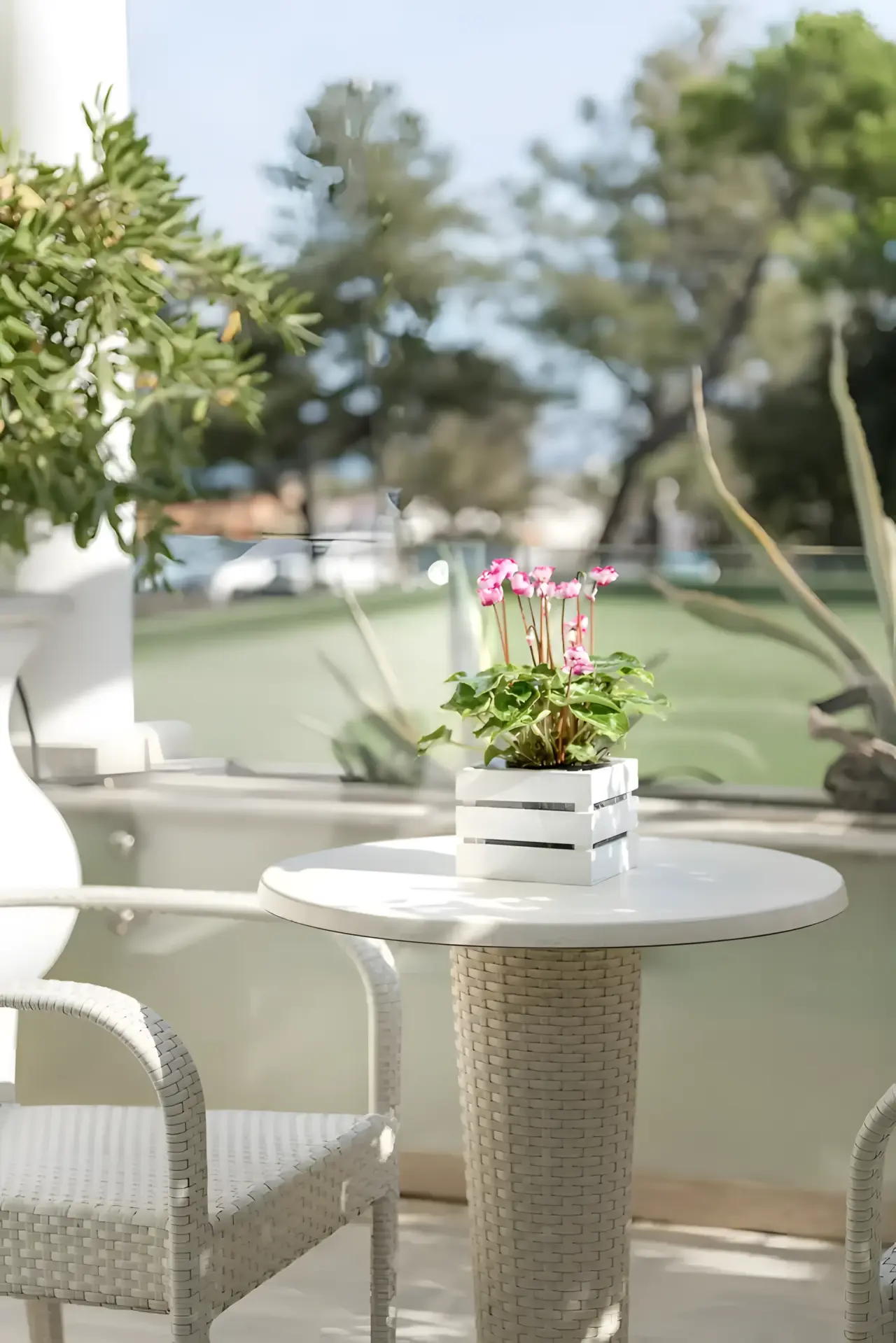 Hotel De Londres in Rimini – Gemütlicher Außenbereich mit Tisch und Pflanzen | Wellnesshotel Emilia-Romagna